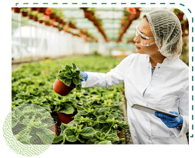 Femme scientifique examinant des fleurs en pot et utilisant une tablette numérique dans une serre