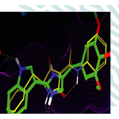 Synthèse et évaluation biologique d’analogues de la ranitidine