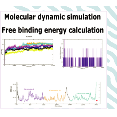 Molecular dynamic simulation free binding energy calculation