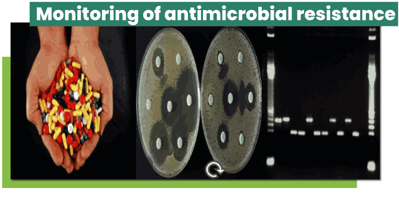 Monitoring of antimicrobial resistances