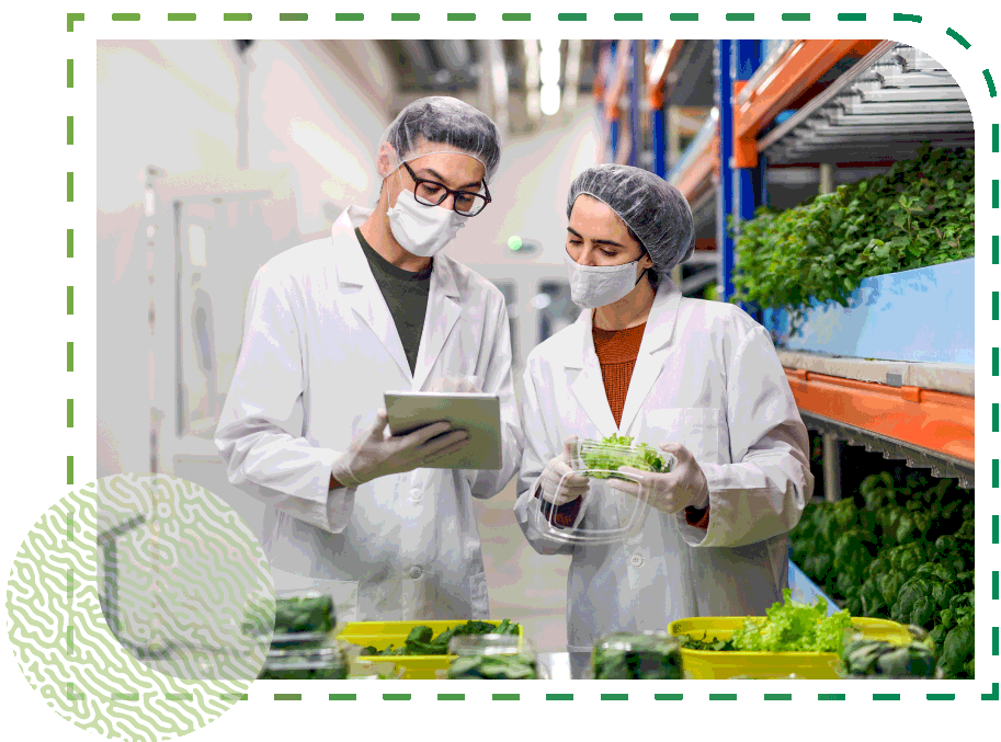 Deux personnes en laboratoire examinent des plants de laitue et consultent des données, illustrant la biotechnologie.
