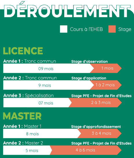 Déroulement du cursus académique de l'EHEB