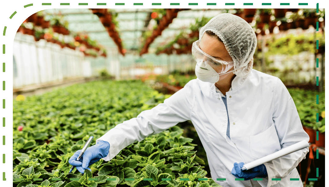 que sais tu sur l'agroalimentaire