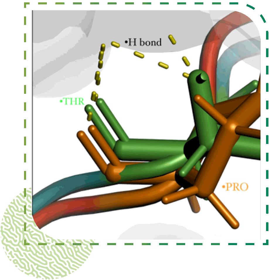 Analyse de la mutation HLB-51 impliquée dans la maladie de Behçet